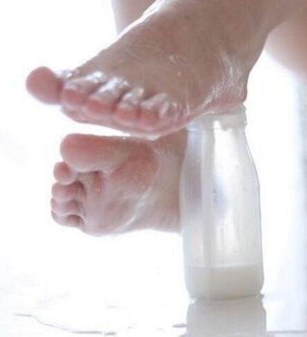 胡桃猫Kurumineko NO.017 蜜桃牛乳[mp41.11G]      胡桃猫Kurumineko NO.017 蜜桃牛乳