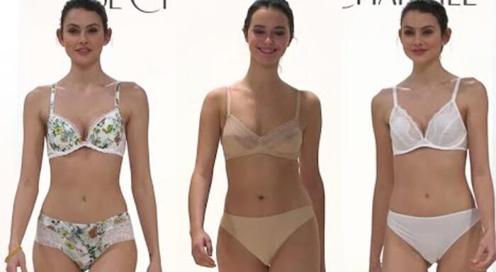 2023(垂直)内衣时尚像魅力